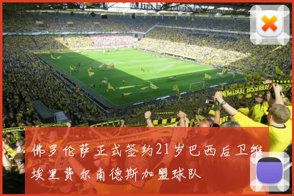 佛罗伦萨正式签约21岁巴西后卫维埃里费尔南德斯加盟球队